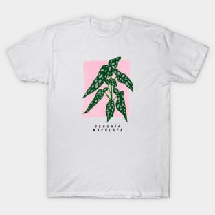 Begonia maculata T-Shirt